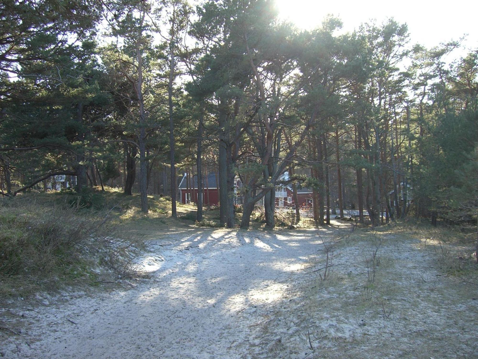 Haus Sandra Baabe Exterior photo